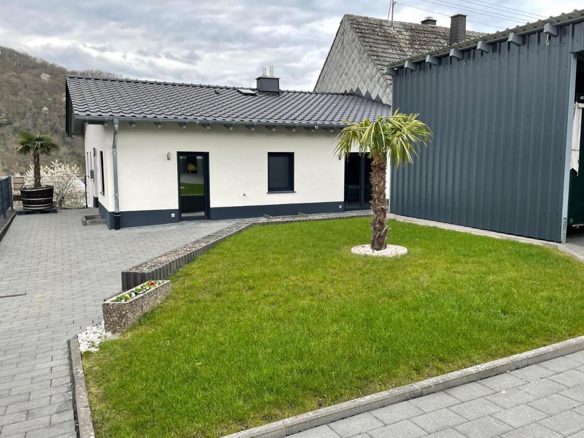 Ferienwohnung " Wein Unter Palmen " Neumagen-Dhron Esterno foto