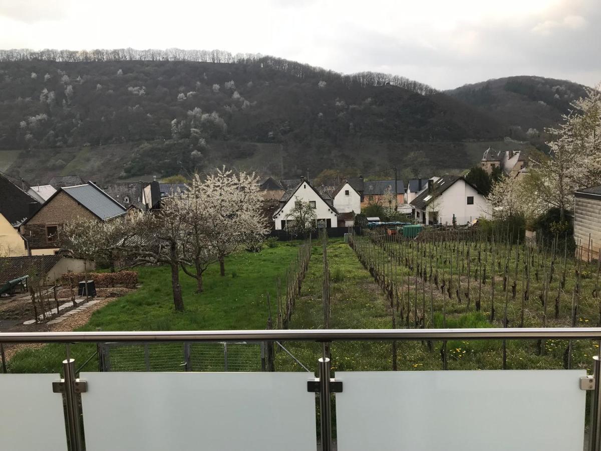 Ferienwohnung " Wein Unter Palmen " Neumagen-Dhron Esterno foto
