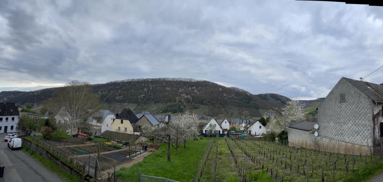 Ferienwohnung " Wein Unter Palmen " Neumagen-Dhron Esterno foto