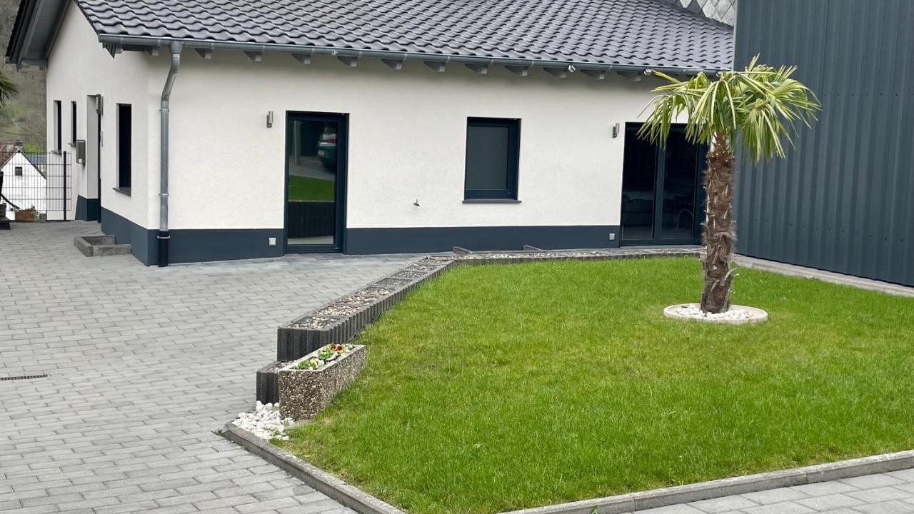 Ferienwohnung " Wein Unter Palmen " Neumagen-Dhron Esterno foto