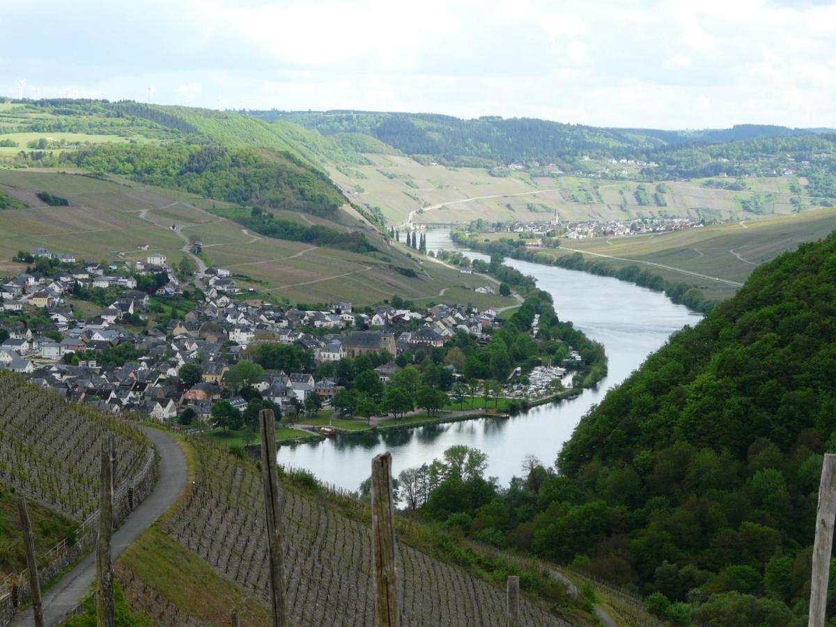 Ferienwohnung " Wein Unter Palmen " Neumagen-Dhron Esterno foto